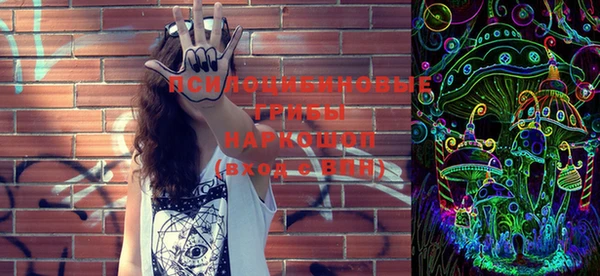 PSILOCYBIN Ижевск