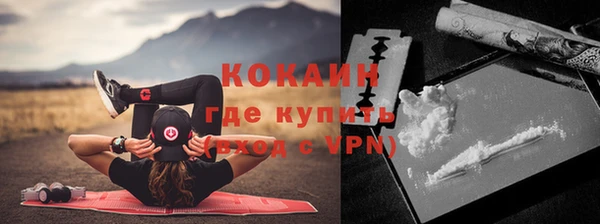 ПСИЛОЦИБИНОВЫЕ ГРИБЫ Краснослободск