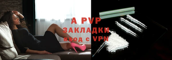 ПСИЛОЦИБИНОВЫЕ ГРИБЫ Краснослободск