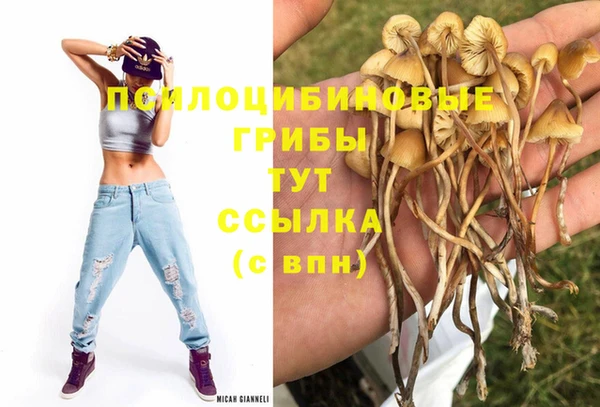 а пвп мука Красноперекопск