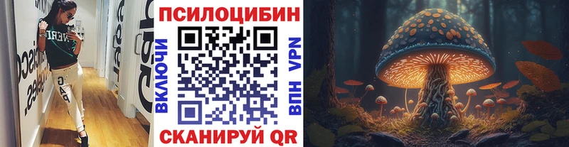 Галлюциногенные грибы Psilocybe  как найти закладки  Тогучин 